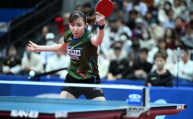 可能会导致 可能会导致